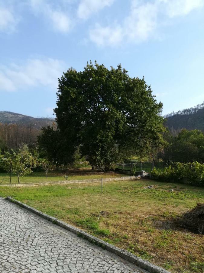 Casa Dos Lacos Viseu Exteriör bild